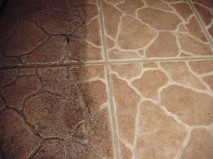 Tile and Grout Cleaning Olympia